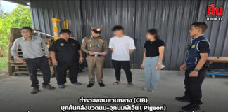ตำรวจสอบสวนกลาง (CIB) บุกค้นคลังขวดนม-จุกนมพีเจ้น ( Pigeon) ปลอมเครื่องหมายการค้ายึดของกลางกว่า 1,000 ชิ้น เตือนภัยแม่และเด็ก เสี่ยงอันตราย